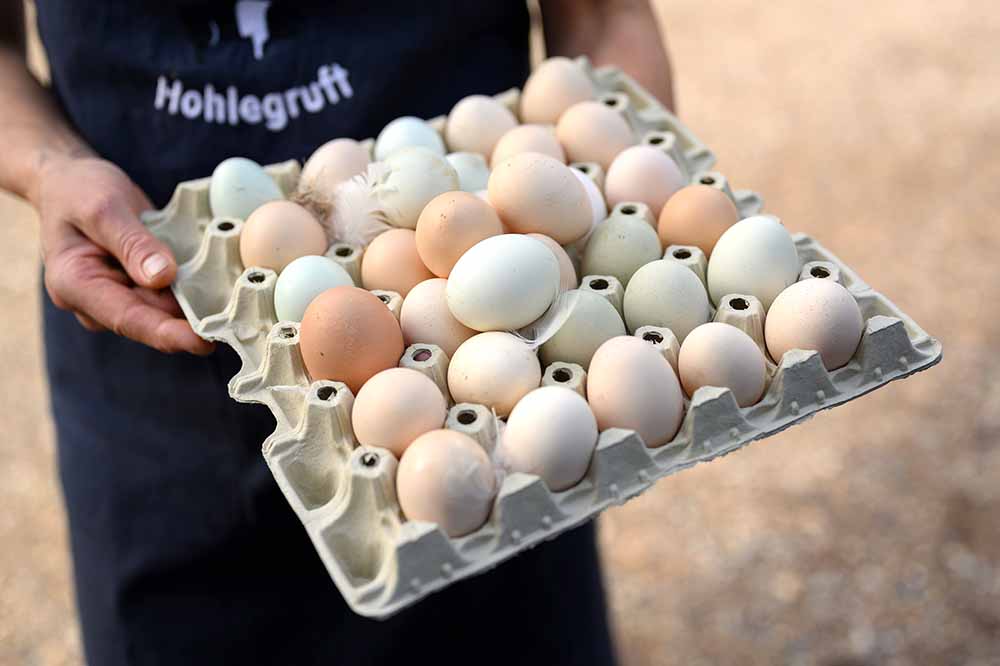 Eine Palette Eier von freilaufenden Hühnern