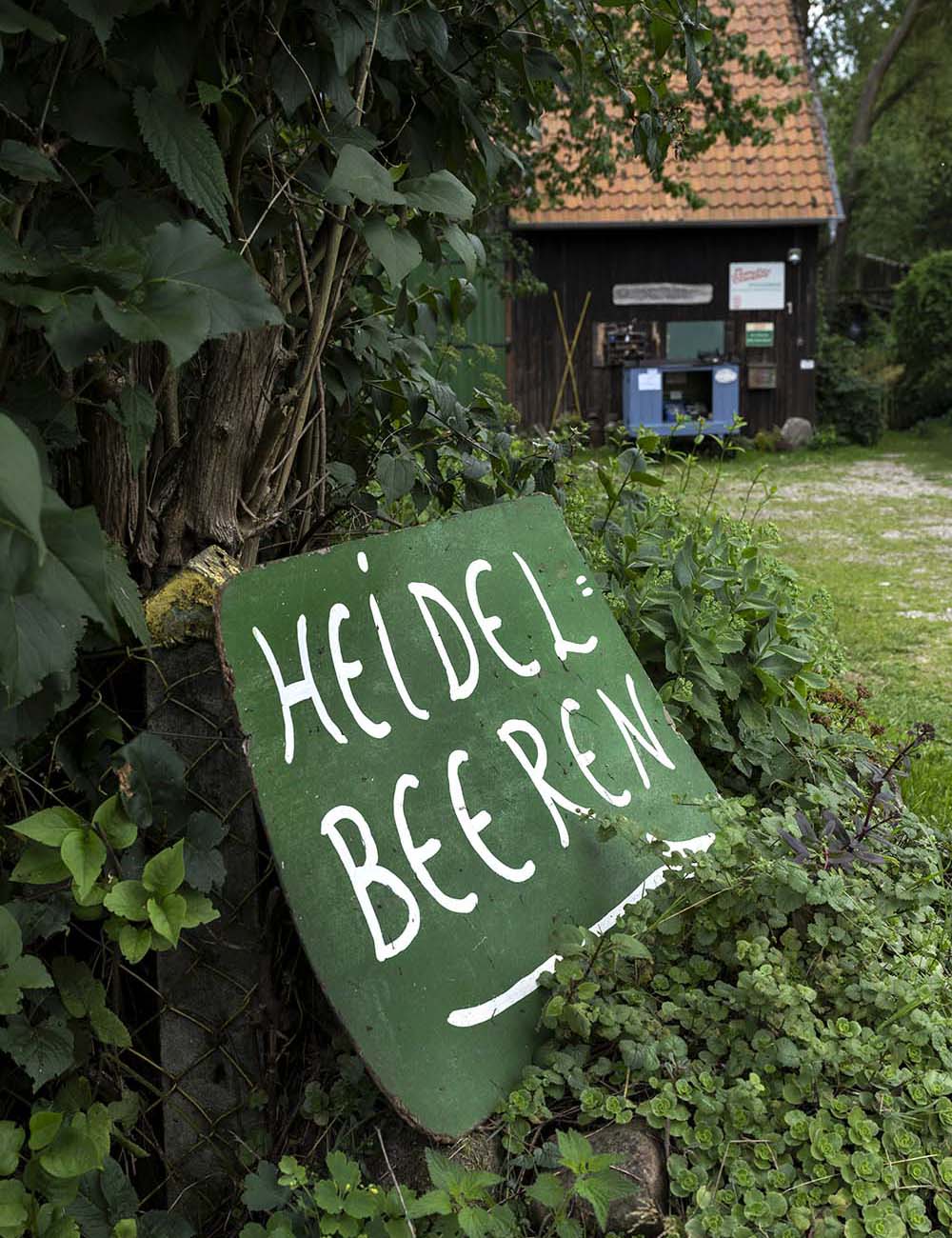 Auf einem selbstgemalten Schild, das in der Hofeinfahrt des Obsthof Wahlen steht, hat Birgit Wahlen Heidelbeeren geschrieen. Im Hintergrund ist das Hofgebäude zu sehen.