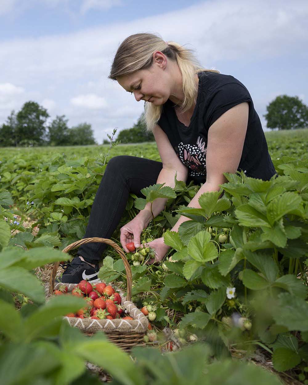 Jessica Piper vom Naturlandhof Piper pflückt frische Bio-Erdbeeren.
