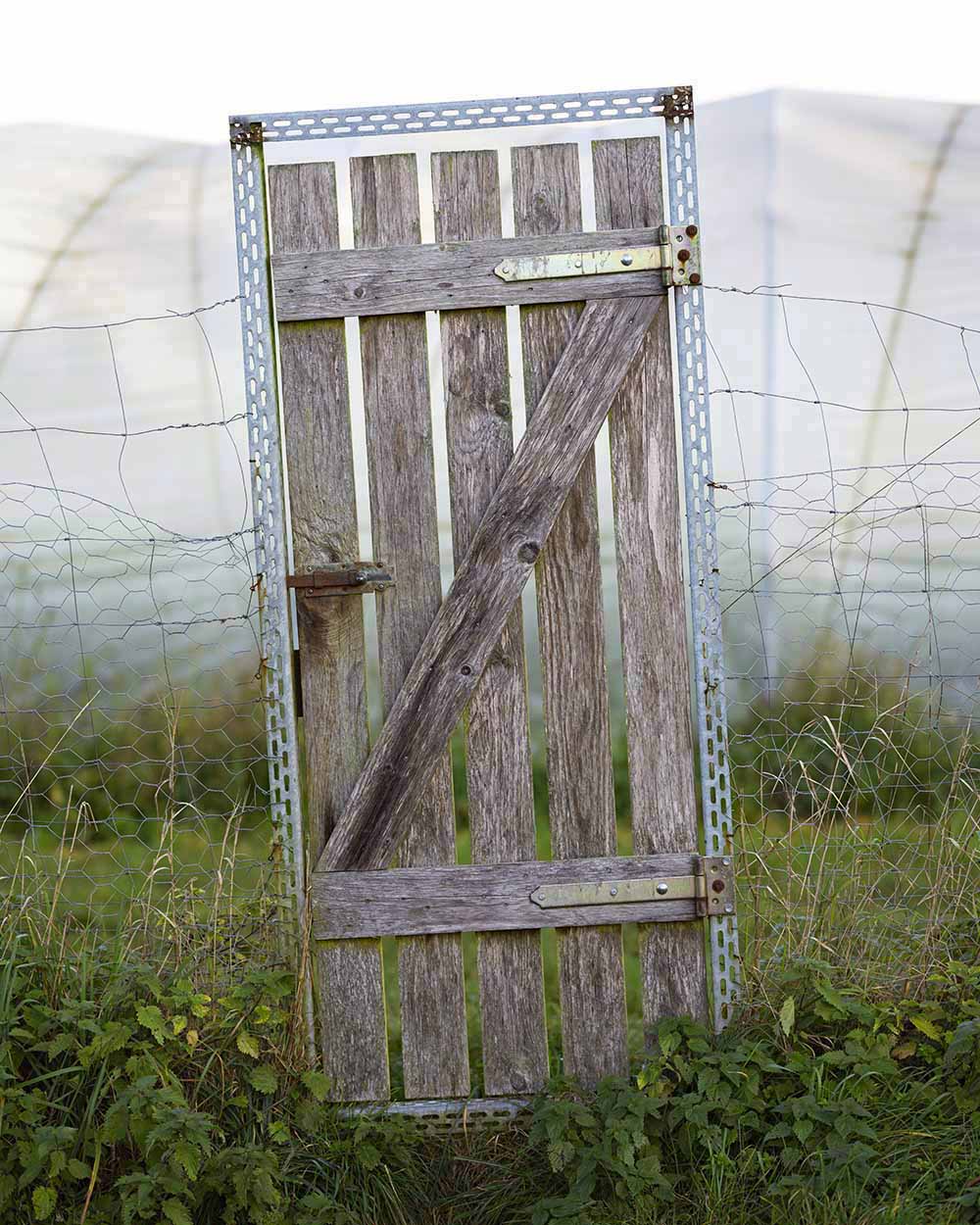 Nahaufnahme einer alten Holztür, die auf dem Feld der Domäne Fredeburg steht.